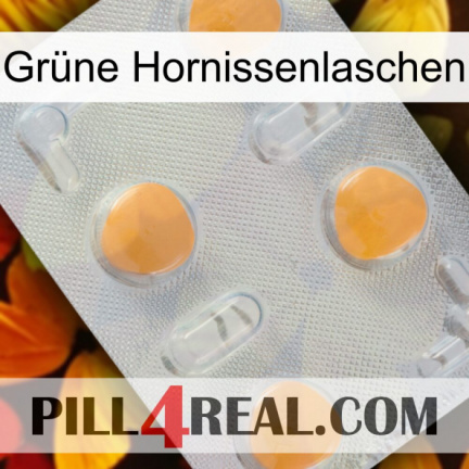 Grüne Hornissenlaschen 24